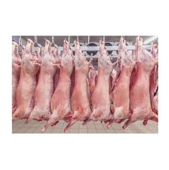 Halal Whole Frozen Lamb Carcass / Meat Grade A Texture Tender Flavor Flavorful Max. Moisture (%) 5 Type Frozen Lamb CARCASS -  CALIPSO POLSKA SP Z OO  - Poland