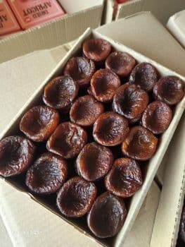 Dried apricot natural Packaging box Crop Year 2025 Origin Uzbekistan Drying Process sun Natural Additives No Product Type Dried Apricot - Freeze Dried Fruit LTD - Uzbekistan