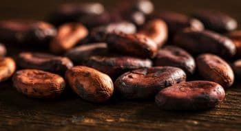Cocoa bean - Global Coffee Traders LLC - Vietnam