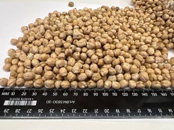 Chickpeas Product Type Legumes Origin European Continent - NOVAAGRO - Ukraine