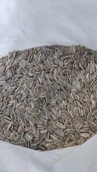 Pulses Zinc 5.5 Mg Iron 4.85 Mg Sodium 0.004 G Calcium 96.8 Mg Magnesium 337.8 Mg Ash 3.41 % +- 0.26 Vitamin B1 862.5 Μg - Ketumba limited  - Kenya