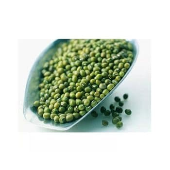 Discount price Vigna Mung Beans wholesale bulk supply premium quality - MASI TRADING GMBH - Germany