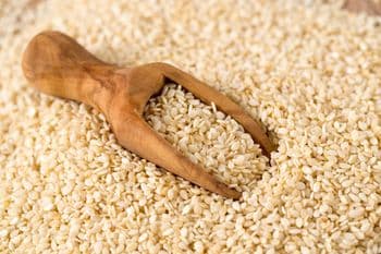 Sesame Seed Hulled  /  Sesame Seed Organic / White Sesame Seed / White Sesame Seed Hulled - AHT Global (Pvt) Ltd - Pakistan