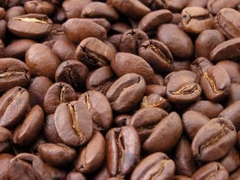 Premium Grade Roasted Organic Arabica & Robusta Coffee Beans Organic Yes Decaffeinated Yes Bean Type Arabica Degree of Processing Raw - Carla Pisselli Commercio - Brazil