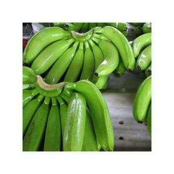 Low Price Fresh Green Cavendish Banana Premium Stock Fast Delivery - CHHC AGR0-CHEMICAL PRODUCTS WHOLESALING - Philippines