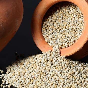 Low Price Wholesale New Crop Bulk Hulled Red Glutinous Floured Dried Pearl Millet Animal Feed on Sale - Carla Pisselli Commercio - Brazil