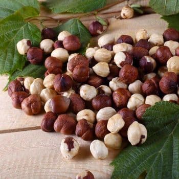 Organic Blanched Hazelnuts Kernels Premium Grade Dried Food France 24-Month Shelf Life Fast Delivery Best Price Bulk Orders Sale - Carla Pisselli Commercio - Brazil