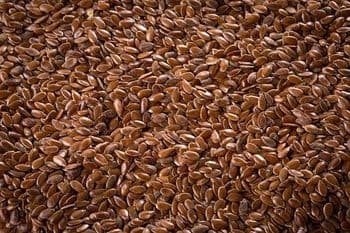 Flax Seed Stock Photo - Download Image Now - Flax Seed, Flax Crop - Balingi Trading Company (PTY) Ltd - South Africa