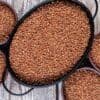 Buckwheat - OOO SFERA - Russian Federation