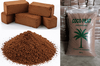 coco peat block / powder Length Up to 80 cm - CV BIAN LALA MANDIRI - Indonesia