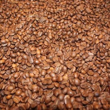 Hot Selling Premium Quality Organic Blended Arabica Robusta Coffee Beans Freshly Roasted Dried Directly Brazil Wholesaled - AGRONOVA - United States