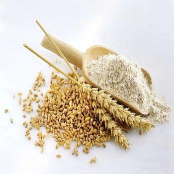 Quality Whole Wheat Flour For Export Wheat Flour 50kg/Organic Strong Bulk White Wheat Flour Price - Carla Pisselli Commercio - Brazil