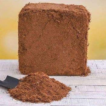 Coco Peat - MEME GROUP COMPANY LTD - Cameroon