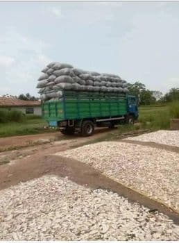 Cassava chips Packaging Jute - Niagro Global Investment LLP  - Nigeria