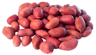 peanuts Origin Uzbekistan Color Red, Yellow, Black Application Cooking, Baking, Direct Consumption Texture Frozen, Dried, Freeze Dried, Raw, - Freeze Dried Fruit LTD - Uzbekistan