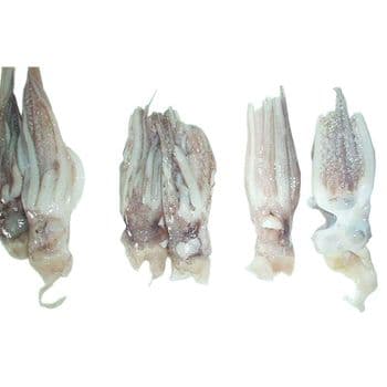 Frozen Fresh Illex Squid Ocean Sourced Seafood Product With 100% Traceable Processing For Export Market Supply - TOSOH INTERNATIONAL - South Africa