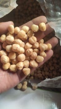 pulses Packaging bulk Grade all grades Gluten Status Gluten-free Glycemic Index Low Glycemic Index Caloric Density Low In Fat And Calories - Siddharth electric construction  - India