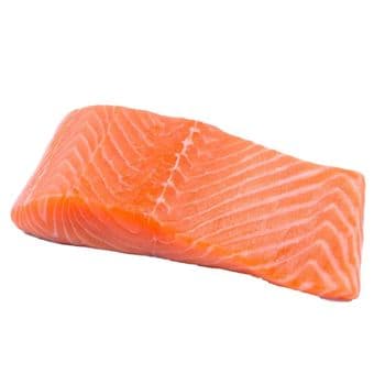 Fresh Salmon Fillet Carefully Processed For Retail Packaging Foodservice Distribution And Export Market Demand - TOSOH INTERNATIONAL - South Africa