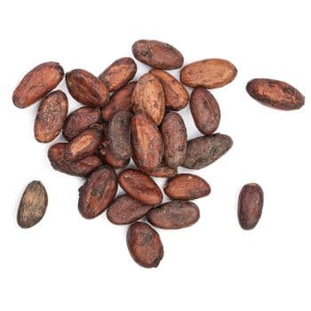 Natural Cocoa Bean With Premium Harvest Standards And Reliable Export Packaging For Global Ingredient Markets - TOSOH INTERNATIONAL - South Africa
