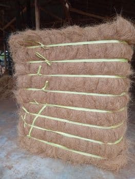 Coconut Coir Fibers Packaging Bale Max. Moisture (%) - PT Sinar Paut Mandiri - Indonesia
