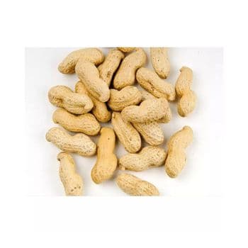 Wholesale Peanuts bulk supply affordable price fresh high quality - BMU TRADING GMBH - Germany