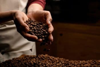 PREMIUM ROASTED COFFEE BEANS / 100% PURE – RICH AROMA – EXPORT QUALITY - Carla Pisselli Commercio - Brazil