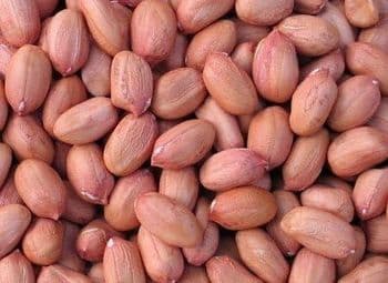 Peanuts / Groundnuts Net Weight 1 L, 10 L, 100 ml, 250 ml, 5 L, 500 ml Delivery Form Barrel, Bottle, Canister, Cardboard, Other, Unpackaged - MEME GROUP COMPANY LTD - Cameroon