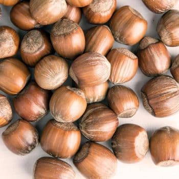Hazelnuts Selected Through Advanced Sorting Methods Delivering Superior Cleanliness And Kernel Quality - TOSOH INTERNATIONAL - South Africa