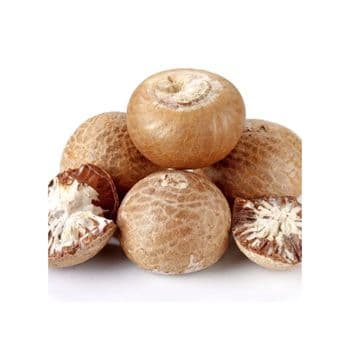 Betel Nut bulk supply wholesale price premium quality stock fast delivery service - BMU TRADING GMBH - Germany