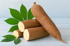 Fresh Cassava (Yuca / Manioc) – Premium Quality, Export-Grade Root Crop - TRADE NEPAL LLC - United States