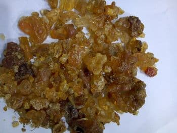 Arabic Gum - EAST HIDES & INVESTMENT CO LTD - Kenya
