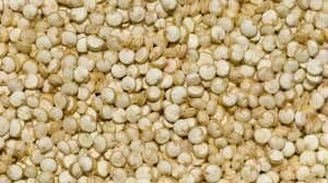 Conventional White Quinoa (Chenopodium quinoa) Packaging PP bag Shelf Life 12 Months Place of Origin India Packaging Details - Opelion Global Pvt Ltd  - India