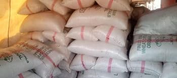 White quality pest free and organic pigeon pea Organic Yes Origin Nigeria Degree of Processing Dried - Zaddi - Nigeria