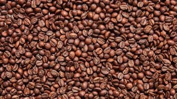 High Quality Specialty Ground Wholesale 100% Arabica Variety Green Coffee Beans Coffee From Peru in Bulk - Carla Pisselli Commercio - Brazil