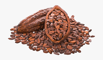 COCOA BEAN Place of Origin CAMEROON Brand Name AGRORAL IMPORT EXPORT - Agroral import export srl  - Romania