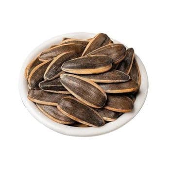 Low price Sunflower Seeds bulk supply discount price wholesale export ready Wholesale Sunflower Seeds - MASI TRADING GMBH - Germany