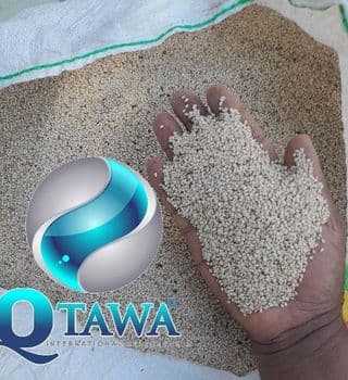 High quality Sesame seeds Organic Yes Shelf Life 5 Packaging 50kg Color yellowish Features Peeled Quality Grade 1 Origin Worldwide - QTAWA INTERNATIONAL BUSINESS LTD - Nigeria