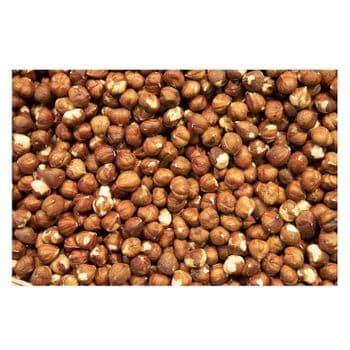 Natural Taste Quality Blanched Hazelnut/Hazel Nut at Low Price -  CALIPSO POLSKA SP Z OO  - Poland