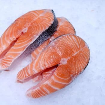 Fresh Salmon Fillet High Quality Seafood Portion Prepared For Wholesale Distribution Foodservice And Retail - TOSOH INTERNATIONAL - South Africa