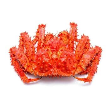 Wholesale Live Red King Crab bulk supply affordable price fresh seafood - BMU TRADING GMBH - Germany