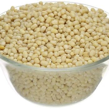 White Urad Dal High Purity Cleaned And Sorted Pulses For International Buyers Bulk Packing And Private Label Demand - TOSOH INTERNATIONAL - South Africa