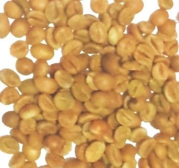 ARABICA COFFEE Bean Type Arabica Degree of Processing Raw - King David Coffee Ventures Uganda Ltd - Uganda