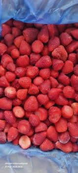 Premium Quality IQF Strawberry Grade A Shelf Life 24 - Dream International - Egypt