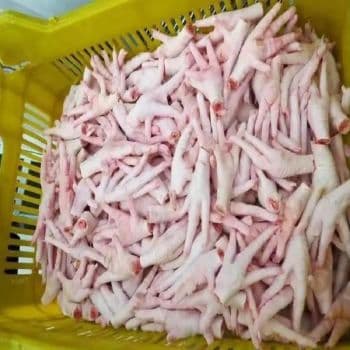 Wholesale Halal Organic Frozen Chicken Feet & Paws with Vitamins Box Packaging USA Origin Food Grade chicken paws - Carla Pisselli Commercio - Brazil