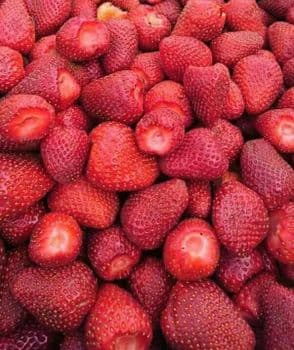 IQF FROZEN STRAWBERRY GRADE Form Frozen Color Strawberry Packaging Pp Bags - McCoy International Trading LLC - Egypt