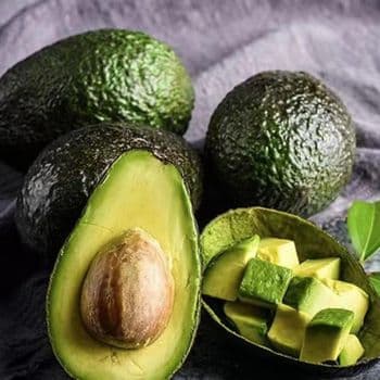 Good Price Fresh Hass Avocado Top Grade 32cm Green 30 Days Shelf Life Ready to Eat - AGRONOVA - United States