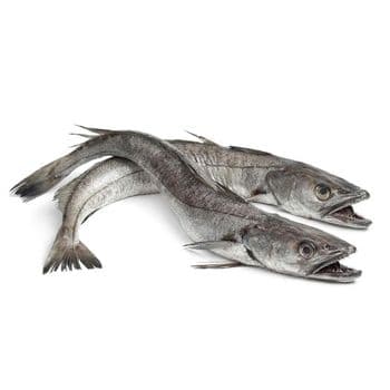 Frozen Hake Fish Carefully Processed Export Quality Product With Natural Flavor Balanced Moisture And Clean Fillet Yield - TOSOH INTERNATIONAL - South Africa