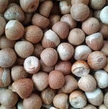 Betel Nut and Tamarind Seeds - MEME GROUP COMPANY LTD - Cameroon