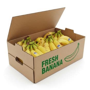 Fresh Banana Carefully Selected Harvest With Uniform Ripeness And Excellent Taste For Wholesale Fruit Distribution Markets - TOSOH INTERNATIONAL - South Africa