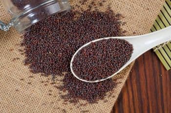 Bulk Mustard Seeds Exporter | Refined Quality Yellow and Black Mustard Seeds for Edible Oil, Spice Processing, Sauces, Condiments, and Industrial Food Applications with Competitive Global Pricing - agroturaspzoo - Poland